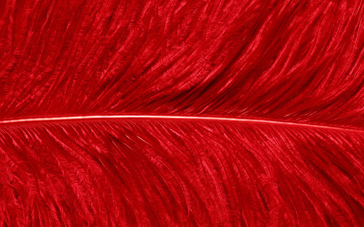 448807 (a): :1920x1200